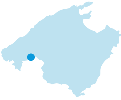 Palma Contemporary Living - Map
